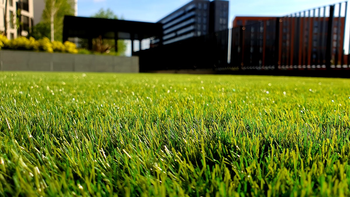 A serviced home with a manicured lawn